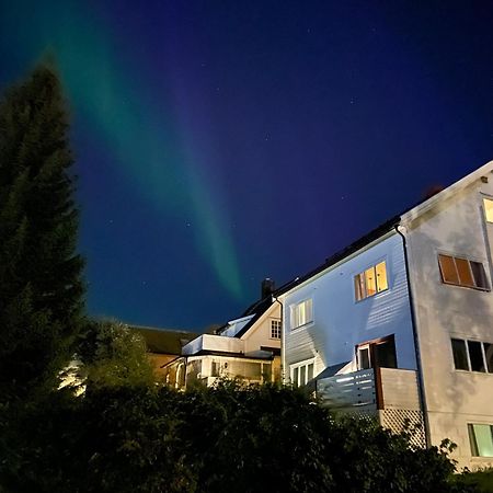 The Aurora Garden - 1Bedroom Apartment - Walking Distance From City Center Tromsø Kültér fotó