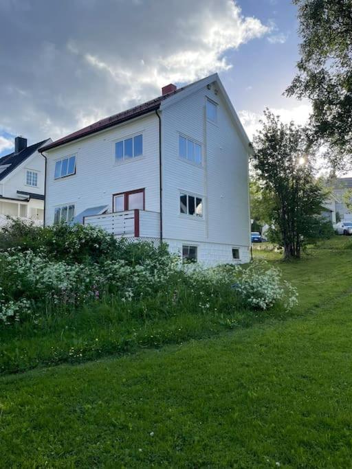 The Aurora Garden - 1Bedroom Apartment - Walking Distance From City Center Tromsø Kültér fotó