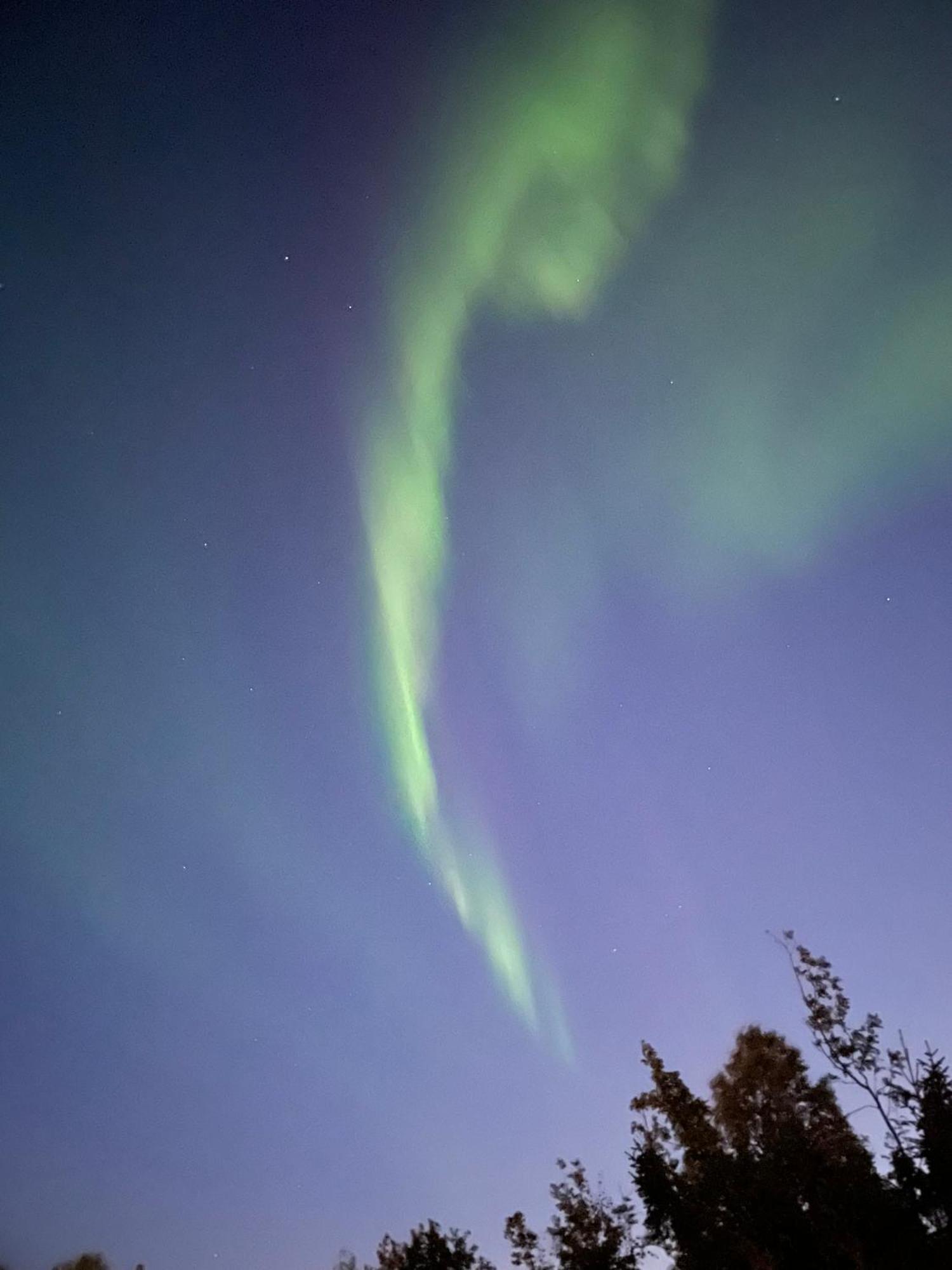 The Aurora Garden - 1Bedroom Apartment - Walking Distance From City Center Tromsø Kültér fotó