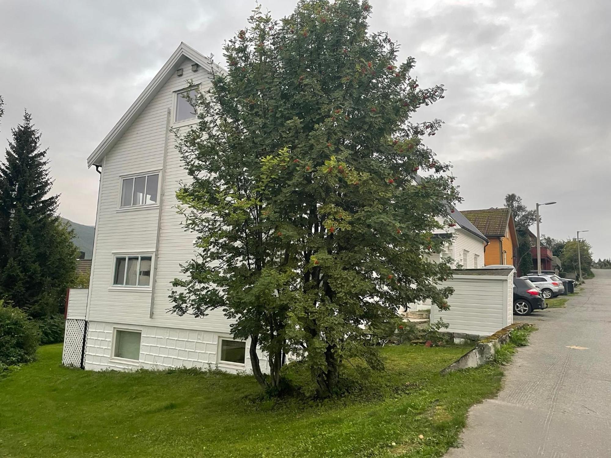 The Aurora Garden - 1Bedroom Apartment - Walking Distance From City Center Tromsø Kültér fotó