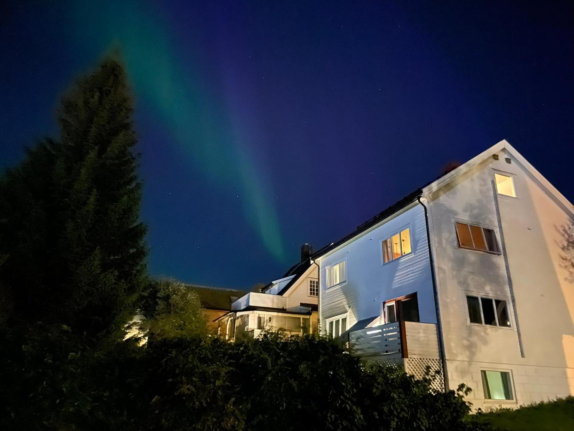 The Aurora Garden - 1Bedroom Apartment - Walking Distance From City Center Tromsø Kültér fotó