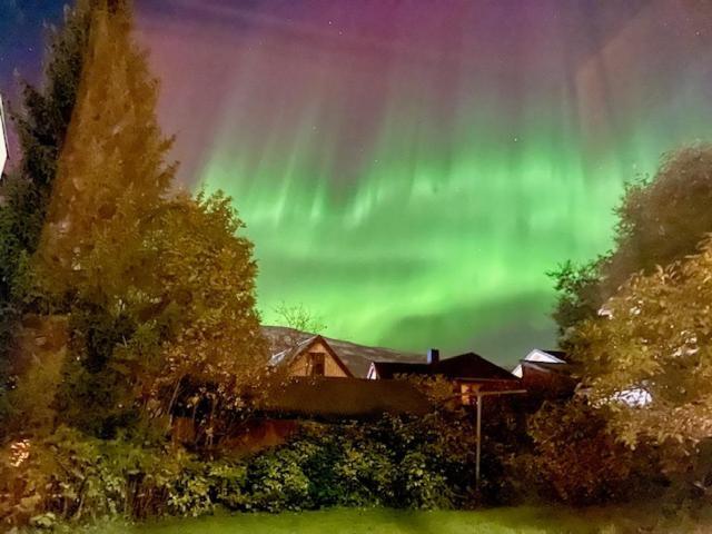 The Aurora Garden - 1Bedroom Apartment - Walking Distance From City Center Tromsø Kültér fotó